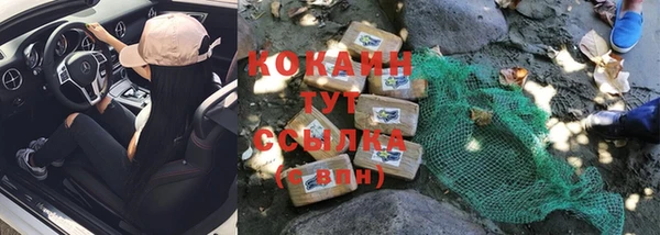 шишки Остров