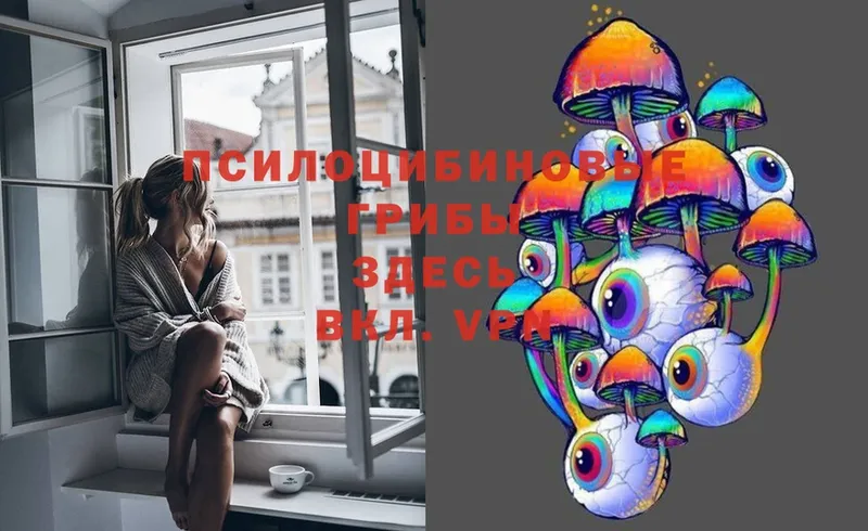 Псилоцибиновые грибы Magic Shrooms  Багратионовск 