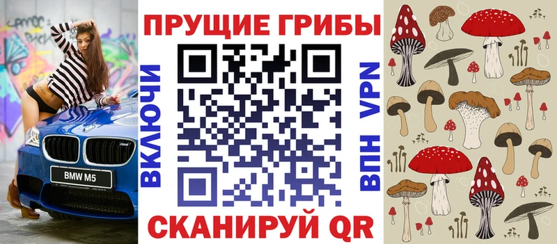 что такое   Багратионовск  Псилоцибиновые грибы мицелий 